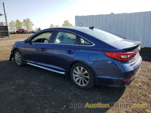 HYUNDAI SONATA SPORT, 5NPE34AF4HH556656