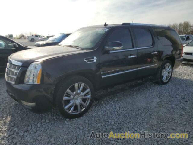 CADILLAC ESCALADE ESV PLATINUM, 1GYFK36259R213656