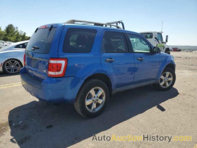 FORD ESCAPE XLT, 1FMCU9DG5BKA96577