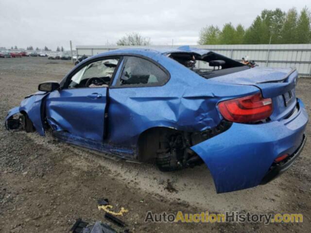 BMW M2, WBA1J7C53FV254022