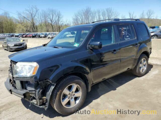 HONDA PILOT EXLN, 5FNYF4H71BB102325