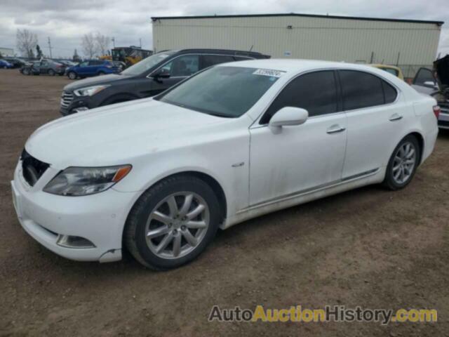 LEXUS LS600, UVF455001116