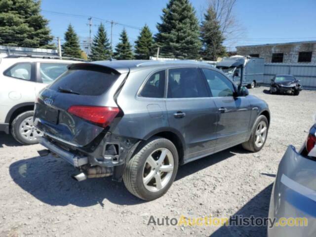 AUDI Q5 PREMIUM PLUS, WA1M2AFP5HA095919