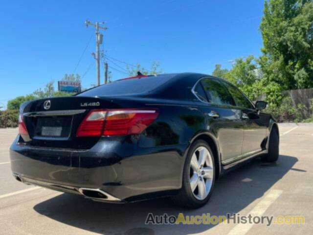 LEXUS LS460 460, JTHBL5EF9C5109119