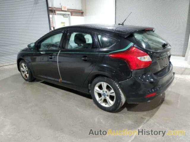 FORD FOCUS SE, 1FAHP3K21CL399850