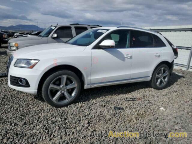 AUDI Q5 TDI PREMIUM PLUS, WA1CMAFP4EA112968