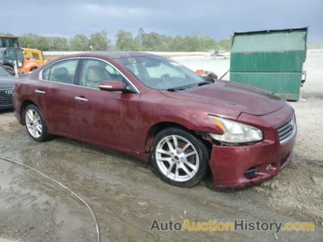 NISSAN MAXIMA S, 1N4AA5AP5BC850546