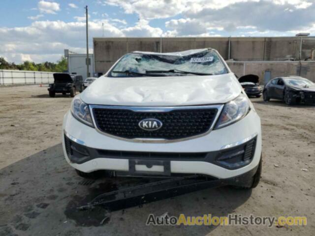 KIA SPORTAGE LX, KNDPB3AC8G7843433