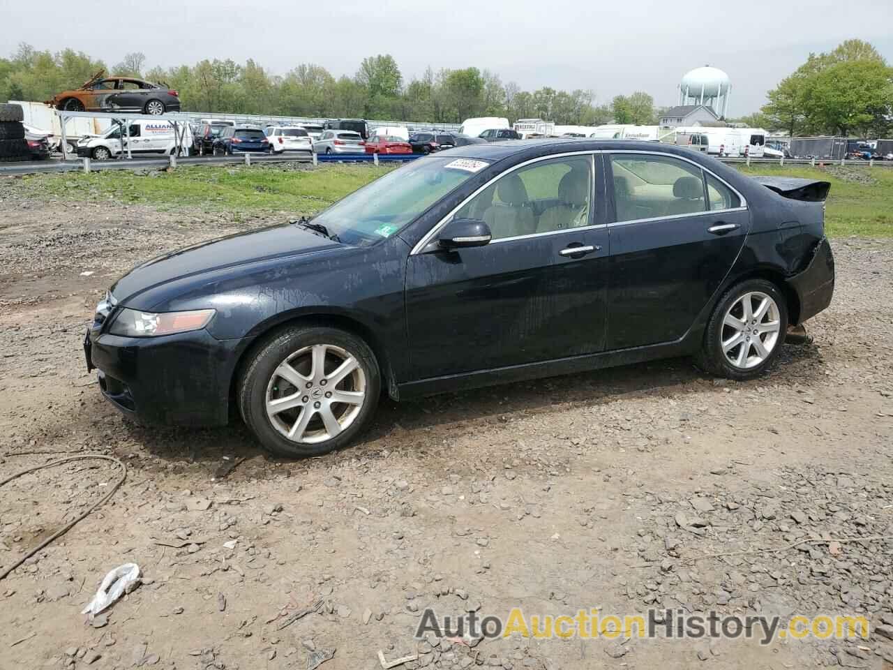 ACURA TSX, JH4CL96895C024971