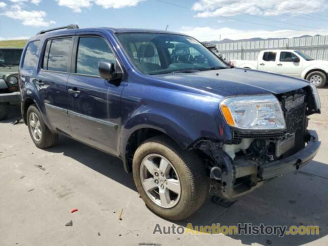 HONDA PILOT LX, 5FNYF4H26FB007575