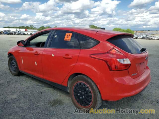 FORD FOCUS SE, 1FAHP3K23CL177455