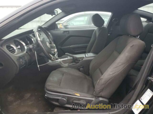 FORD ALL Models, 1ZVBP8AM8C5287998