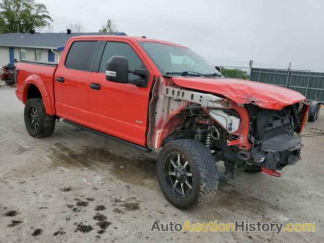 FORD F-150 SUPERCREW, 1FTEW1EP9HKE51136