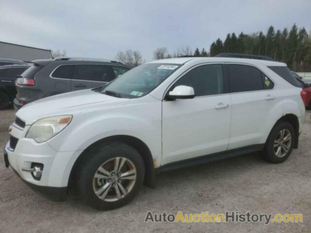 CHEVROLET EQUINOX LT, 2CNFLNEC2B6223891