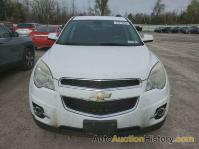 CHEVROLET EQUINOX LT, 2CNFLNEC2B6223891