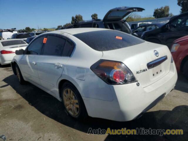 NISSAN ALTIMA BASE, 1N4AL2APXBN501976