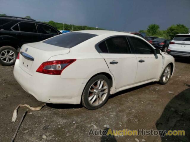 NISSAN MAXIMA S, 1N4AA5AP1BC861480