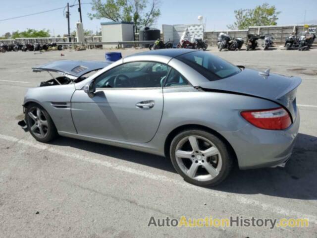 MERCEDES-BENZ SLK-CLASS 250, WDDPK4HA1FF100665