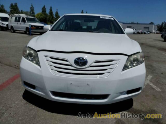 TOYOTA CAMRY BASE, 4T4BE46K59R135234