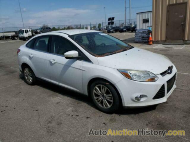 FORD FOCUS SEL, 1FAHP3H26CL424281