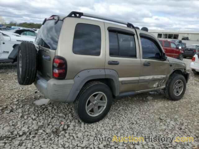 JEEP LIBERTY RENEGADE, 1J4GL38K66W173583