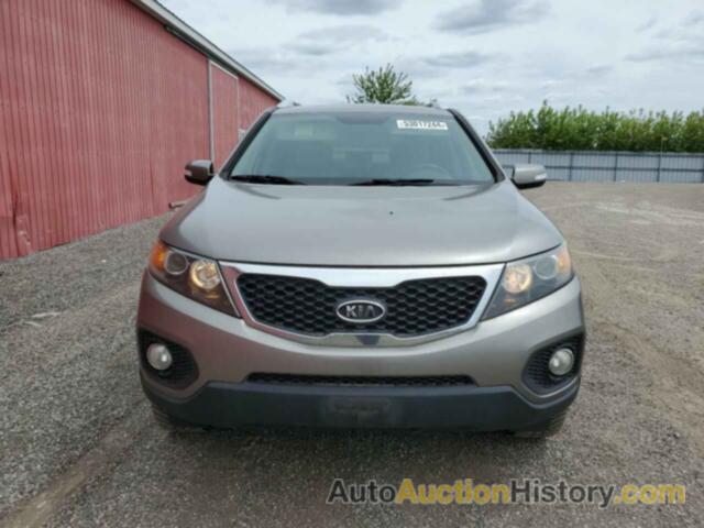 KIA SORENTO BASE, 5XYKT4A26BG027272