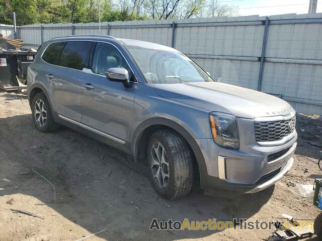 KIA TELLURIDE EX, 5XYP3DHC2MG117073