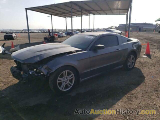 FORD ALL Models, 1ZVBP8AN8A5128503