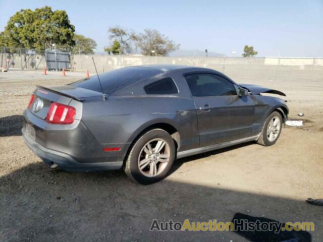 FORD ALL Models, 1ZVBP8AN8A5128503