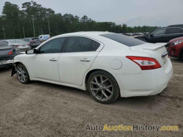 NISSAN MAXIMA S, 1N4AA5AP0AC850291