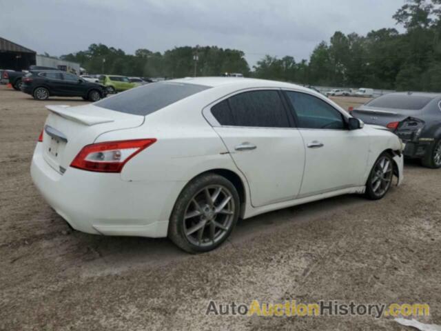 NISSAN MAXIMA S, 1N4AA5AP0AC850291