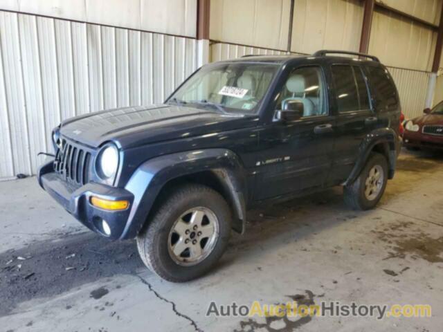 JEEP LIBERTY LIMITED, 1J4GL58K52W217465