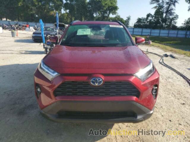 TOYOTA RAV4 XLE PREMIUM, JTMB6RFV5PD105179