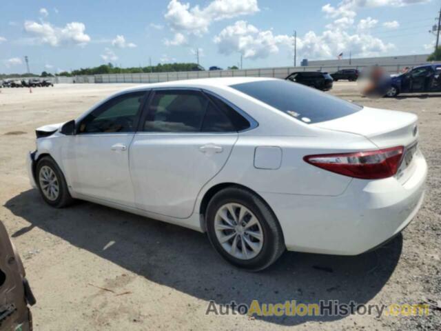 TOYOTA CAMRY LE, 4T4BF1FK3GR549945