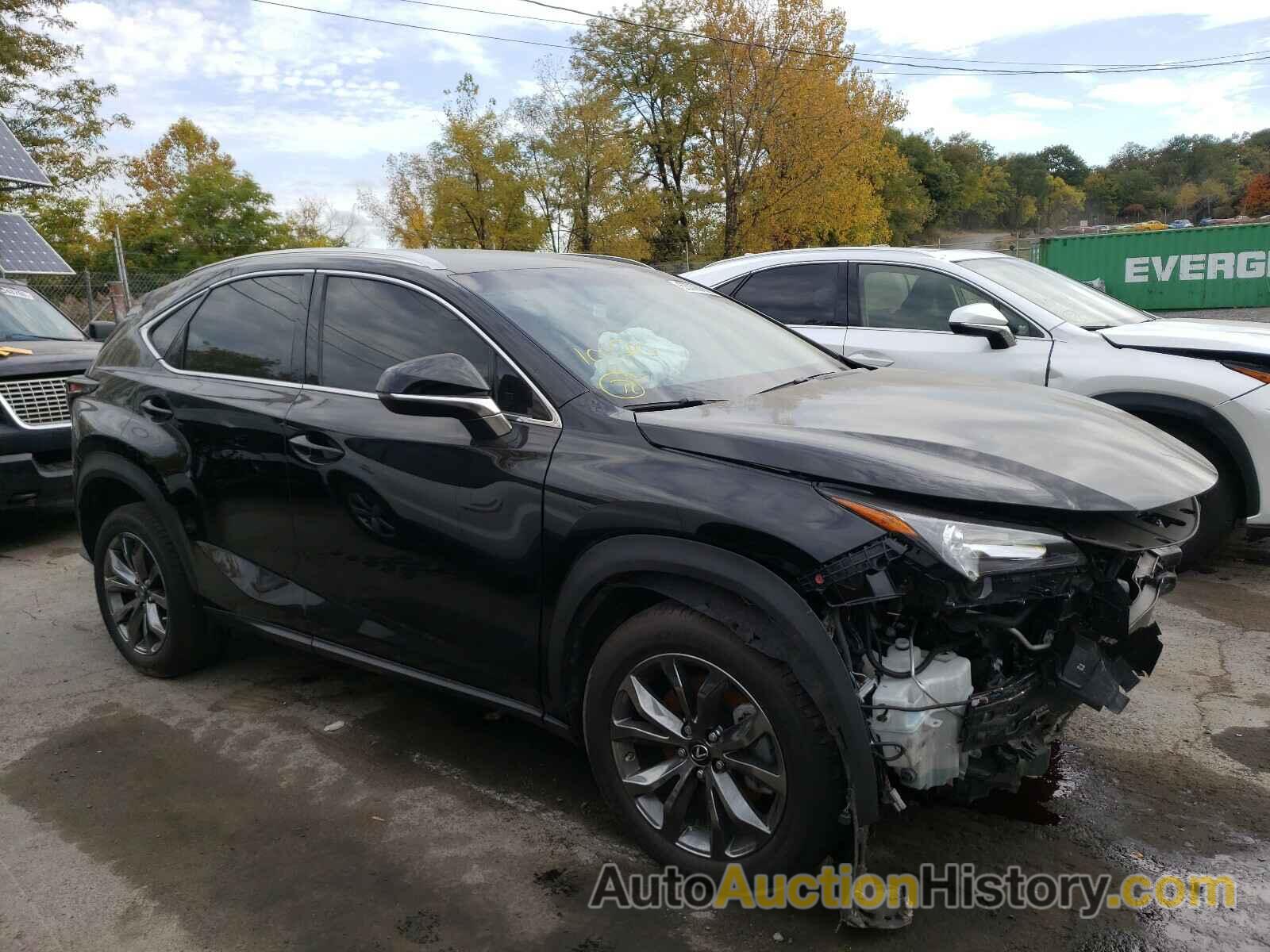 2020 LEXUS NX 300 F-SPORT, JTJJARBZ9L2172311