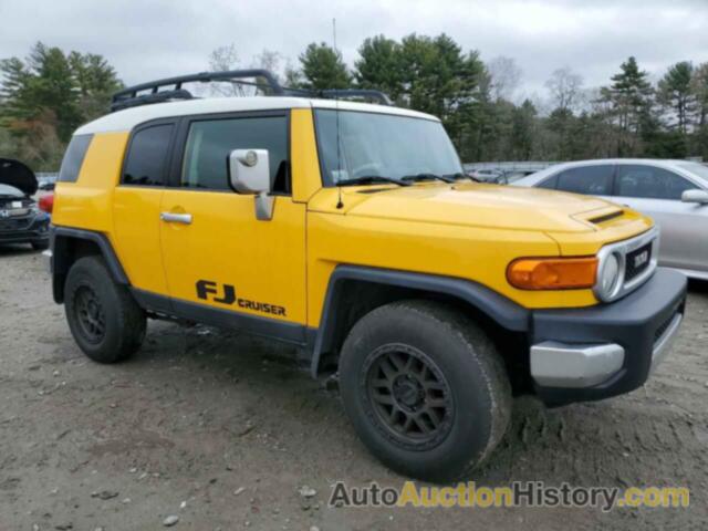 TOYOTA FJ CRUISER, JTEBU11F670048369