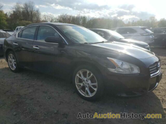 NISSAN MAXIMA S, 1N4AA5AP8CC808714