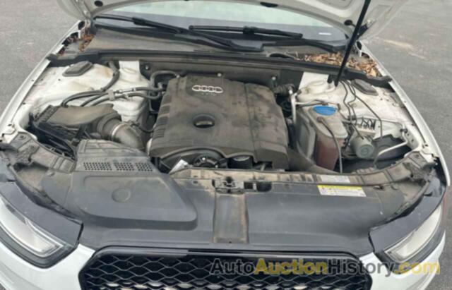 AUDI A4 PREMIUM PLUS, WAUFFAFL8FN015094