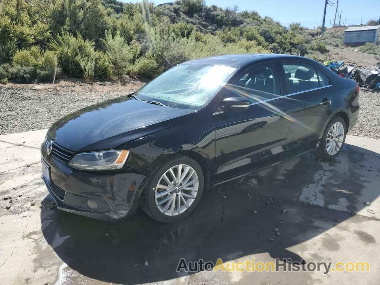 VOLKSWAGEN JETTA TDI, 3VWLL7AJ5DM415092