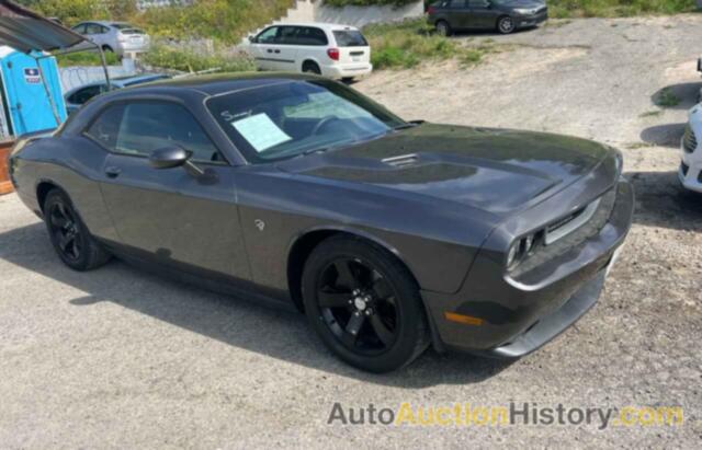 DODGE CHALLENGER SXT, 2C3CDYAG3EH101259