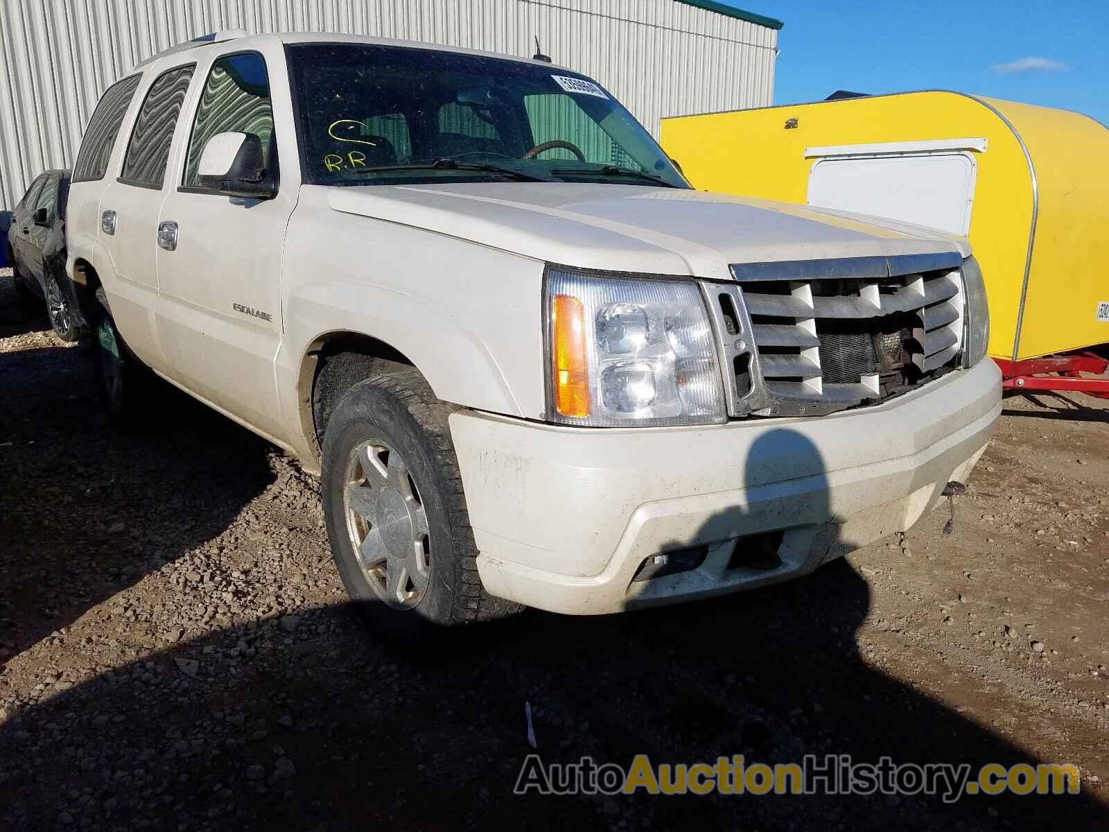 2003 CADILLAC ESCALADE L LUXURY, 1GYEK63N53R192276