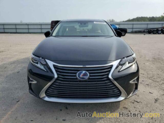 LEXUS ES300 300H, JTHBW1GG9G2105567