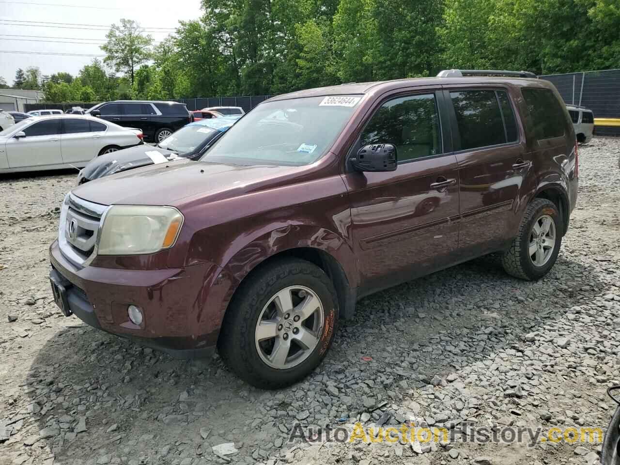 HONDA PILOT EXL, 5FNYF4H58BB051419