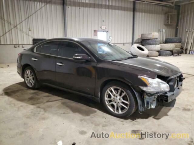 NISSAN MAXIMA S, 1N4AA5AP8AC812355