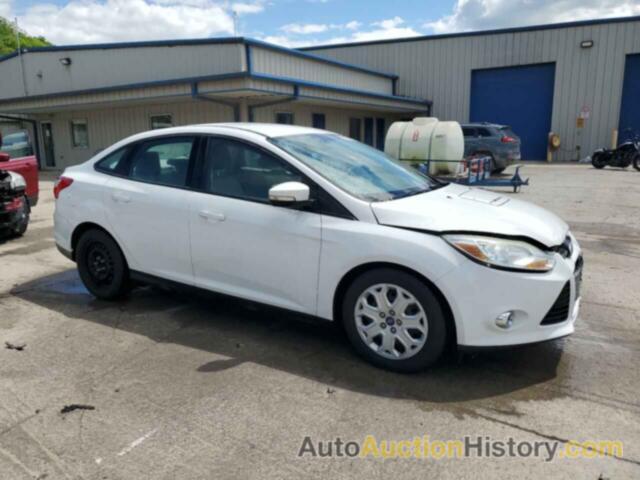 FORD FOCUS SE, 1FAHP3F28CL446432