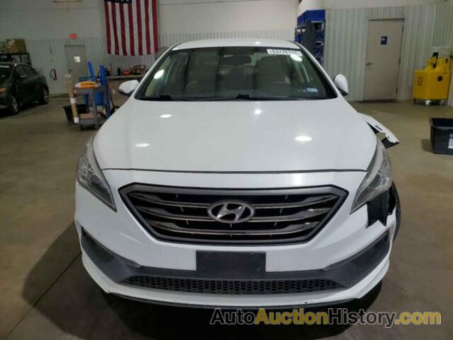 HYUNDAI SONATA SPORT, 5NPE34AF7HH486943