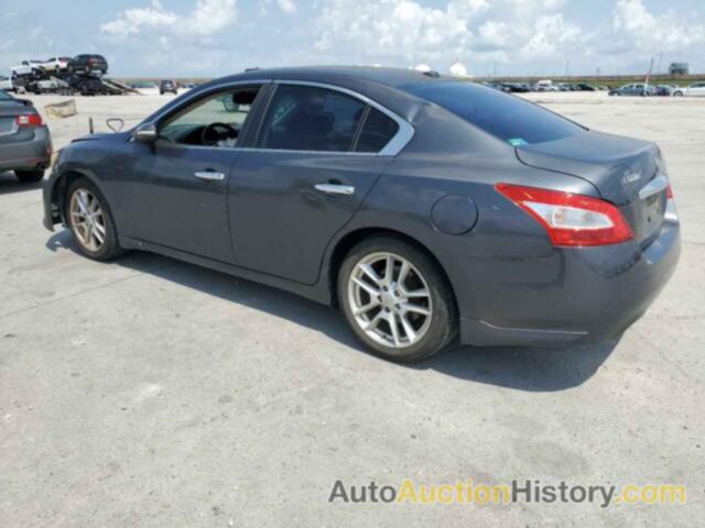 NISSAN MAXIMA S, 1N4AA5AP6BC830211