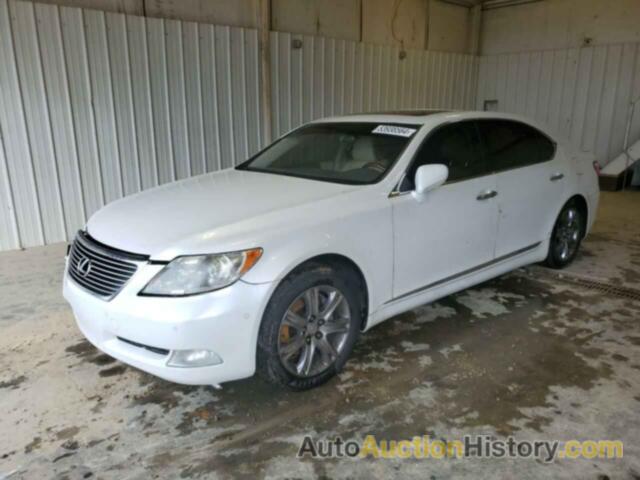 LEXUS LS460 460L, JTHGL46F275017113