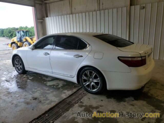 LEXUS LS460 460L, JTHGL46F275017113