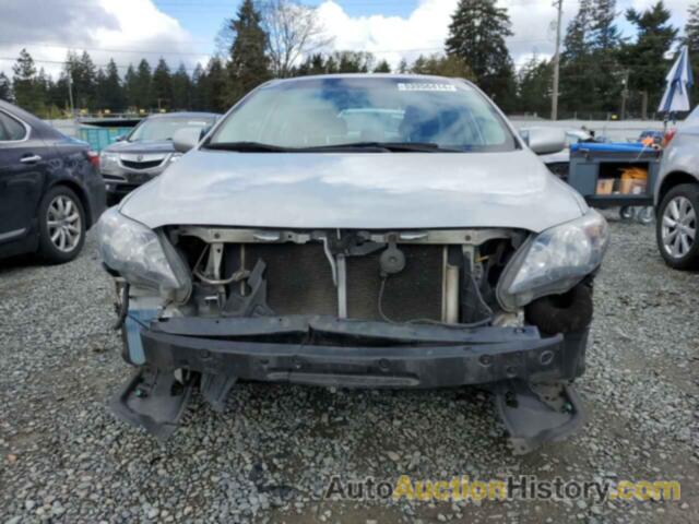 TOYOTA COROLLA BASE, 2T1BU4EE4DC118170